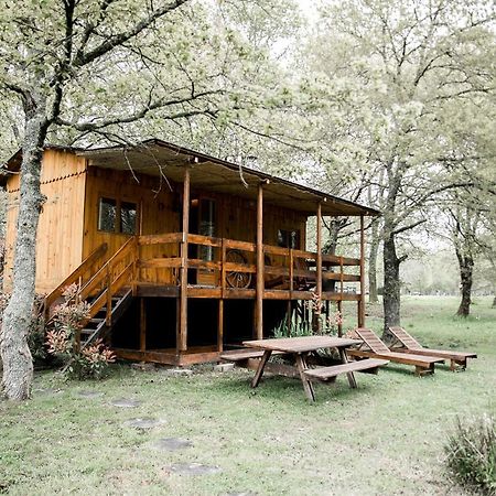 Bed and Breakfast Le Ranch Amadeus Saint-Paul-en-Born Екстер'єр фото
