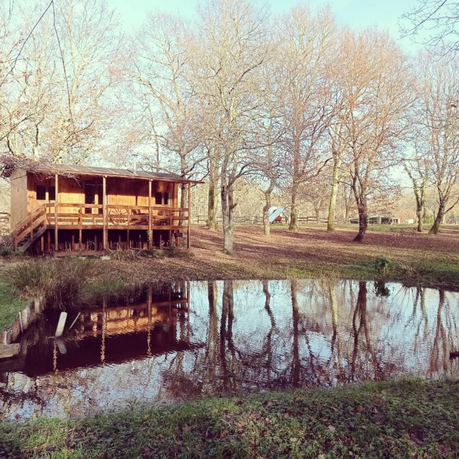 Bed and Breakfast Le Ranch Amadeus Saint-Paul-en-Born Екстер'єр фото