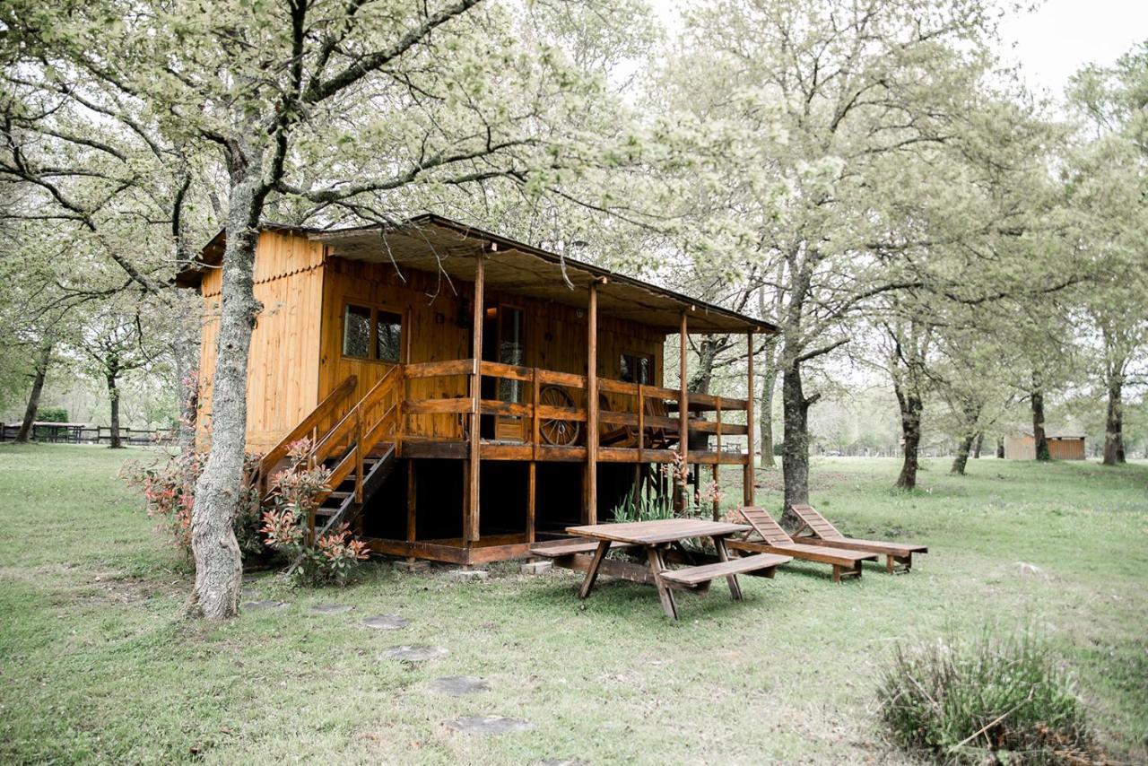 Bed and Breakfast Le Ranch Amadeus Saint-Paul-en-Born Екстер'єр фото