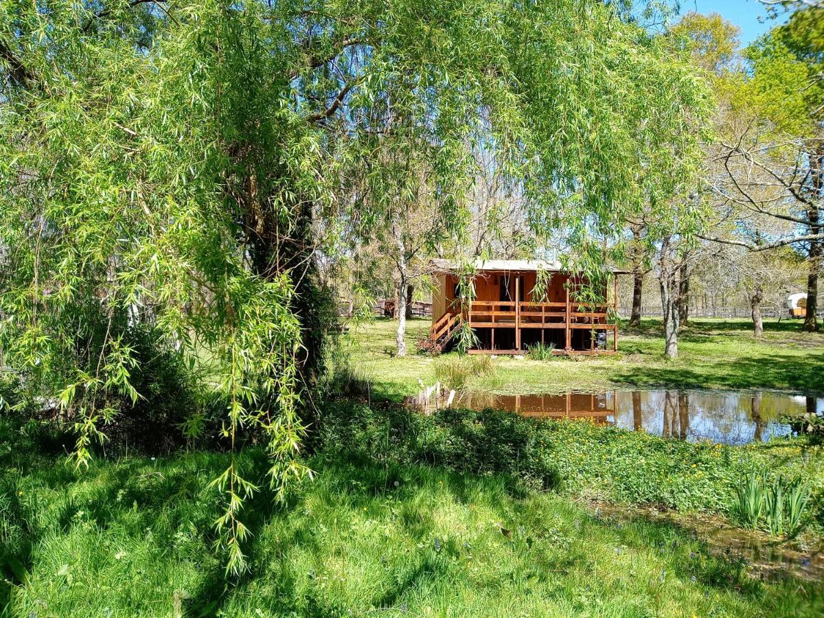 Bed and Breakfast Le Ranch Amadeus Saint-Paul-en-Born Екстер'єр фото