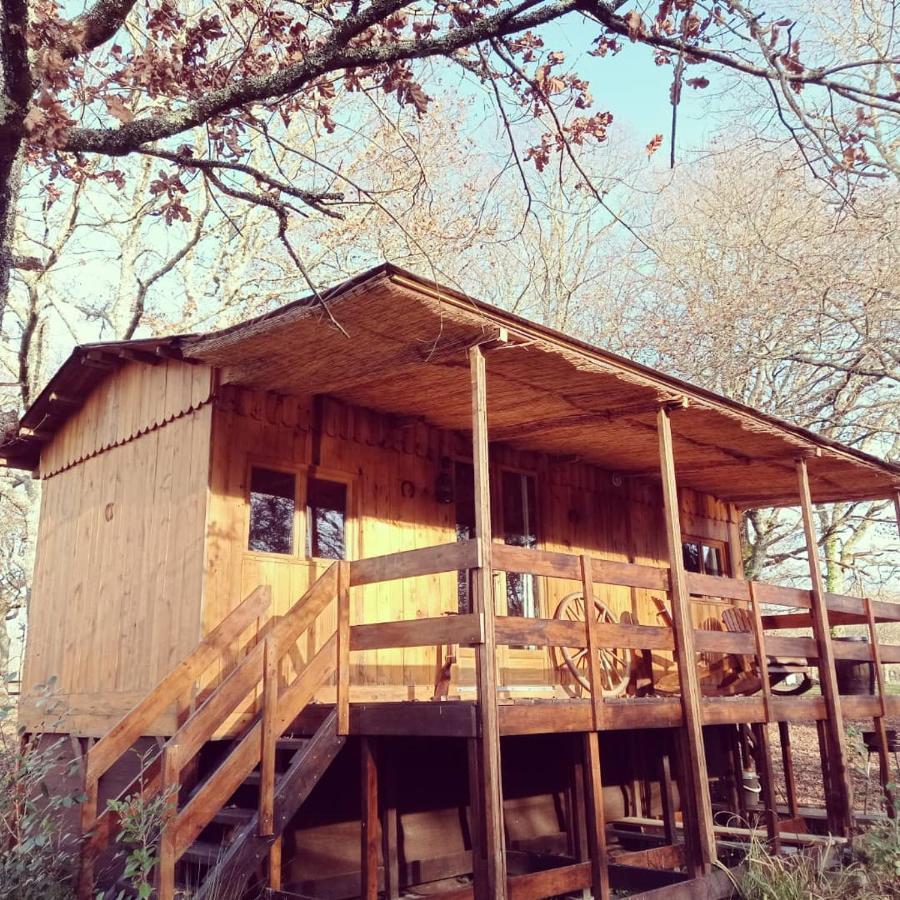Bed and Breakfast Le Ranch Amadeus Saint-Paul-en-Born Екстер'єр фото