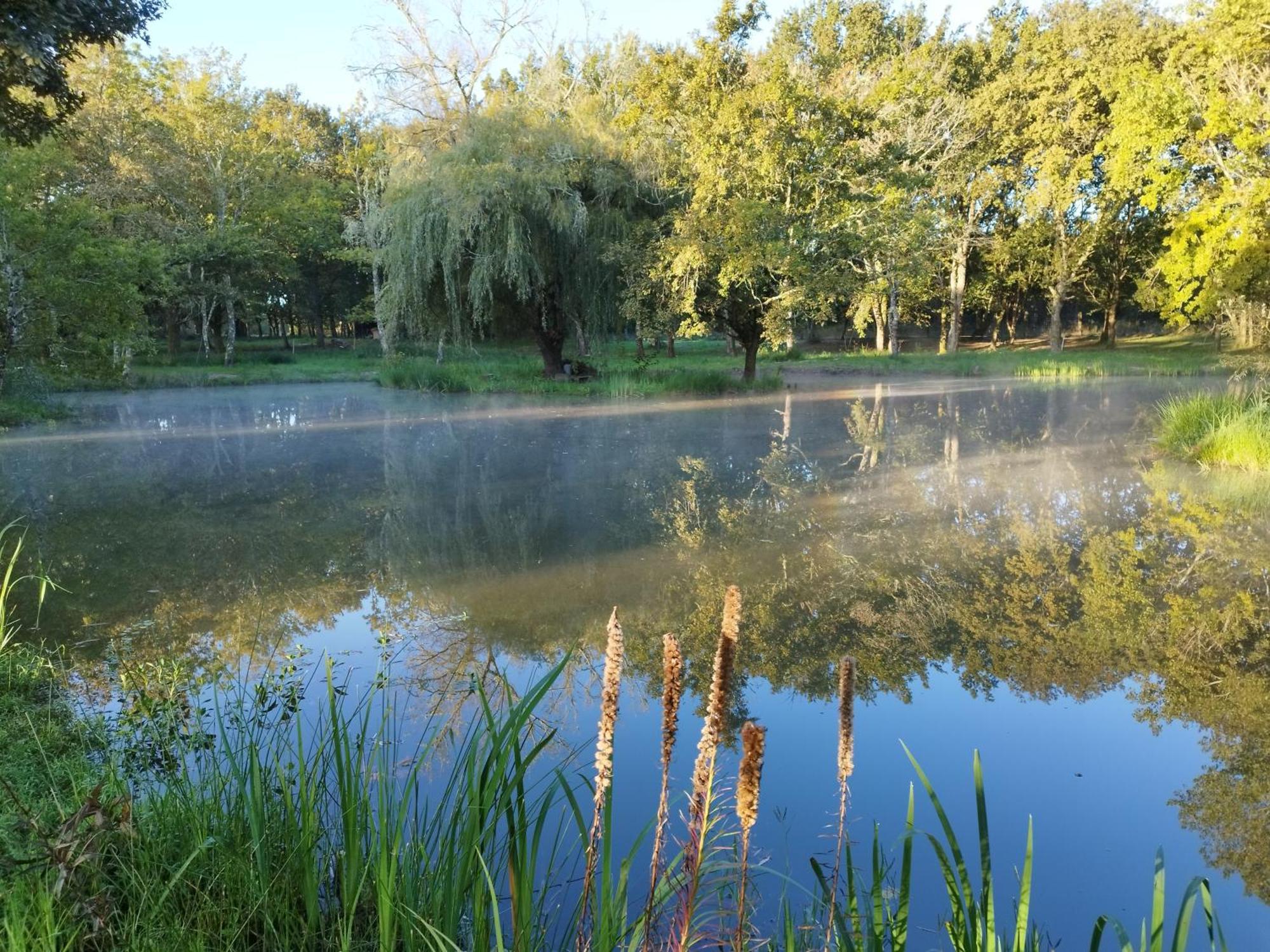 Bed and Breakfast Le Ranch Amadeus Saint-Paul-en-Born Екстер'єр фото